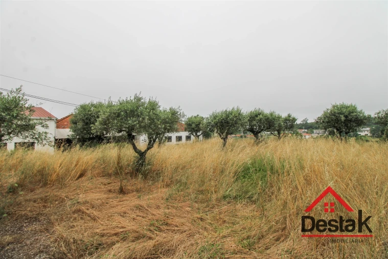 Moradia T3 para Venda em Nogueira do Cravo Foto 10