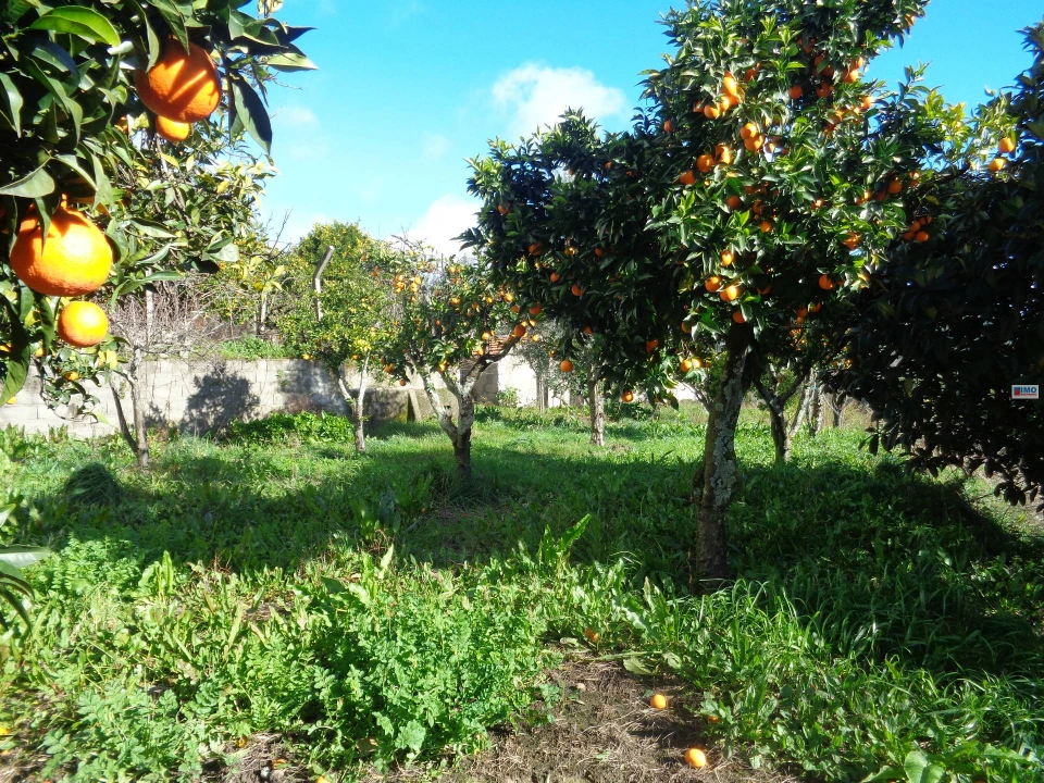 Terreno para Venda em Teixoso e Sarzedo Foto 3