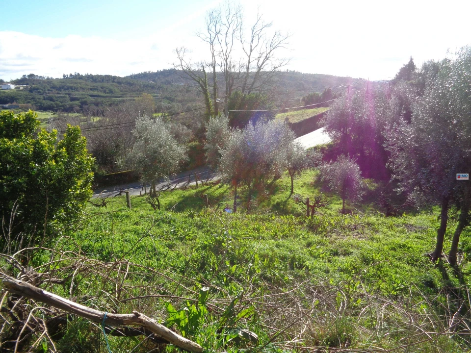 Terreno para Venda em Teixoso e Sarzedo Foto 6