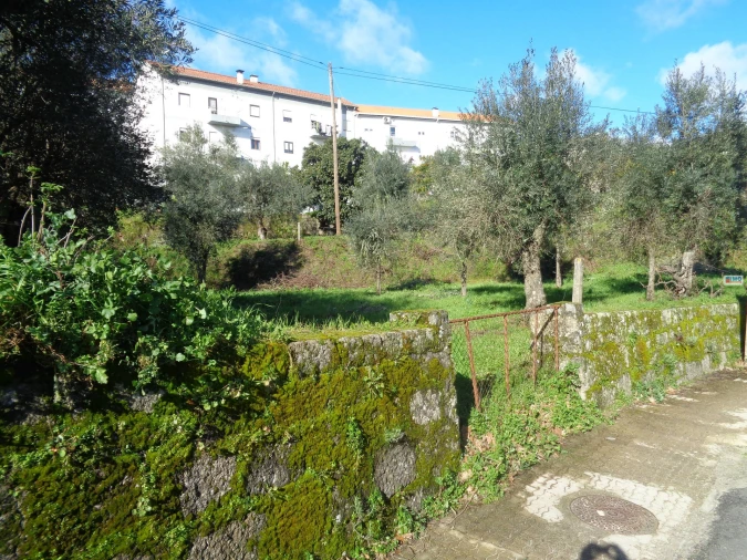 Terreno para Venda em Teixoso e Sarzedo Foto 9