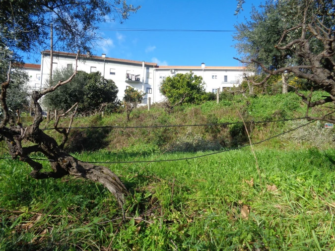 Terreno para Venda em Teixoso e Sarzedo Foto 12