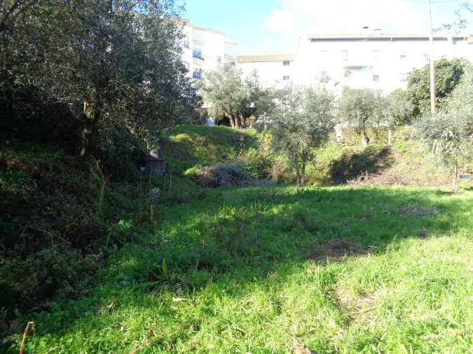 Terreno para Venda em Teixoso e Sarzedo Foto 10