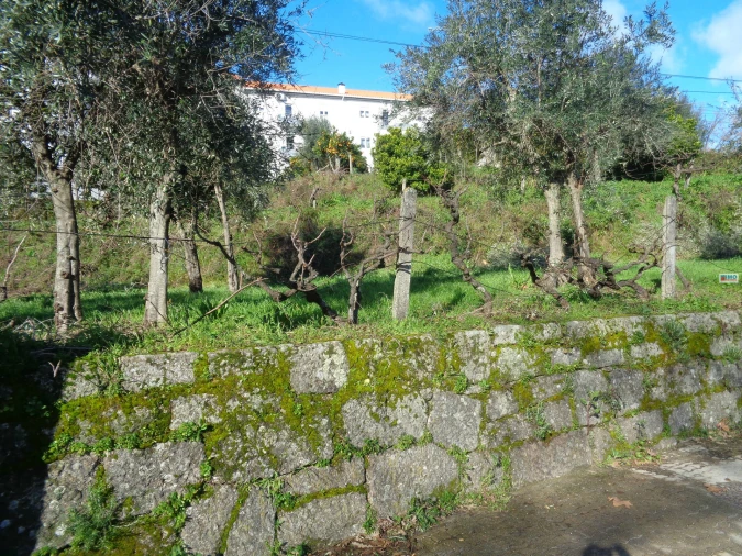 Terreno para Venda em Teixoso e Sarzedo Foto 11