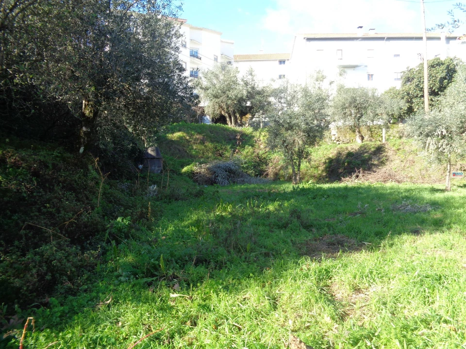 Terreno para Venda em Teixoso e Sarzedo Foto 10