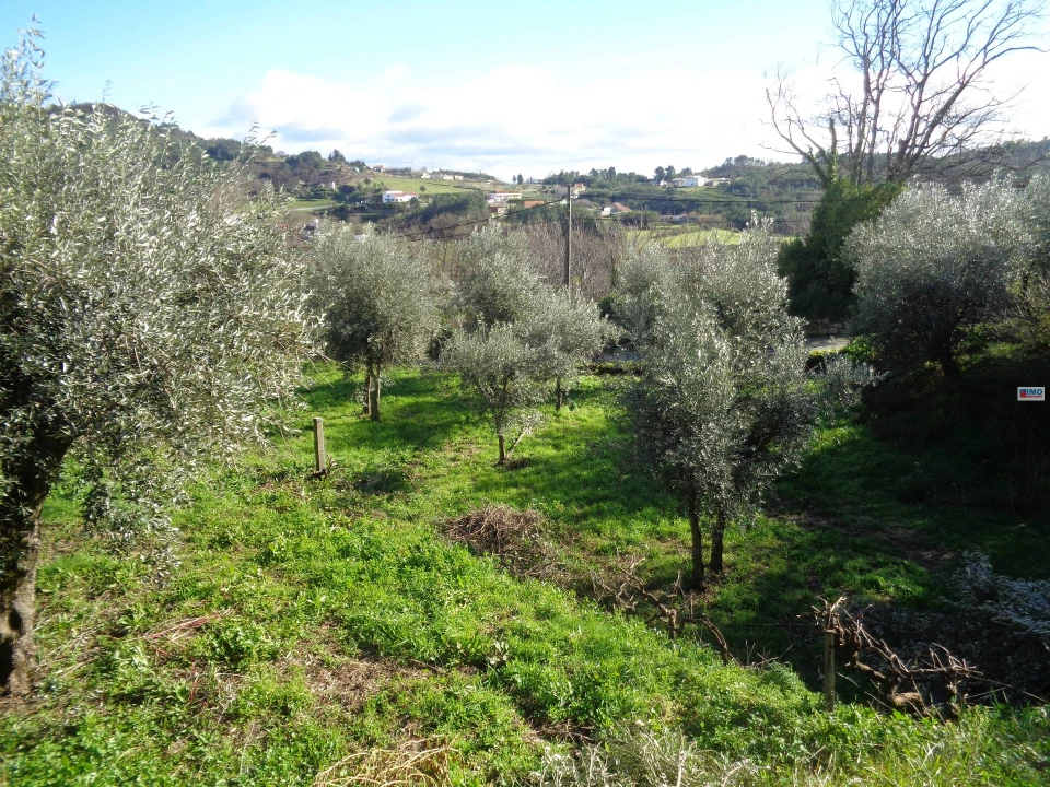Terreno para Venda em Teixoso e Sarzedo Foto 5