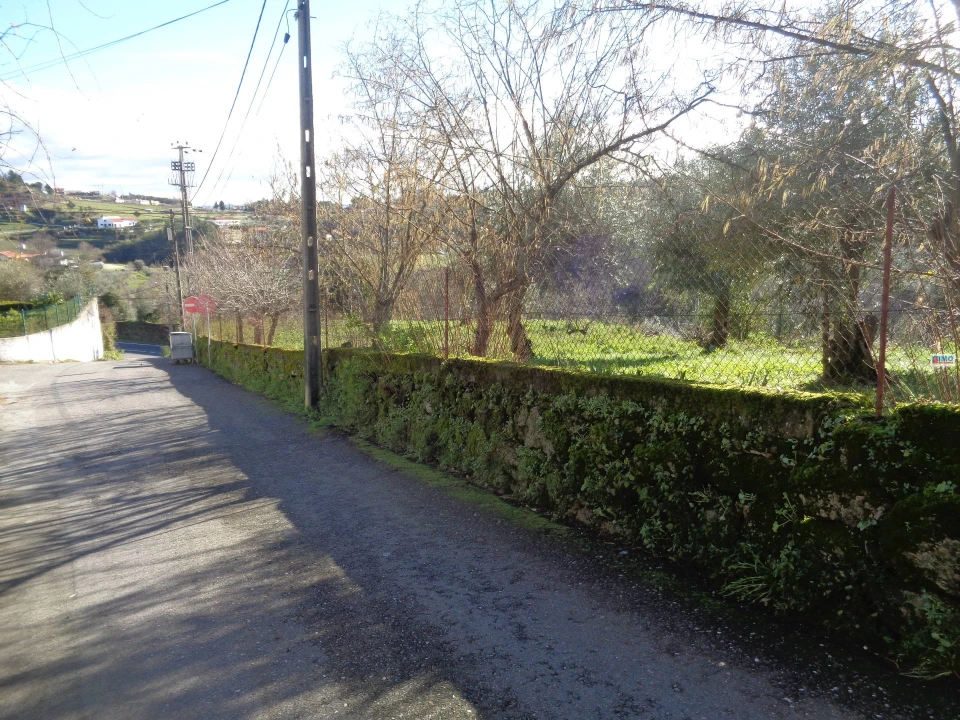 Terreno para Venda em Teixoso e Sarzedo Foto 8
