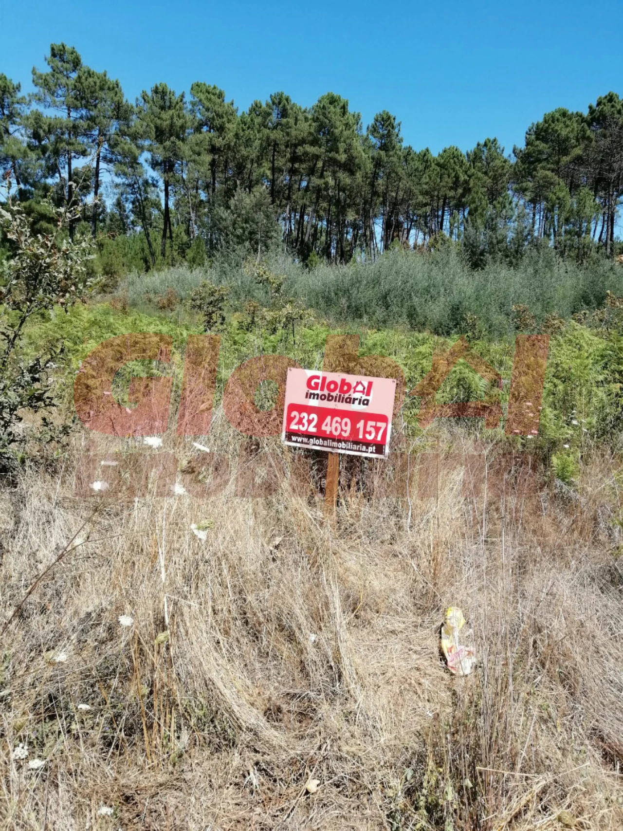 Terreno para Venda em Rio de Loba Foto 1