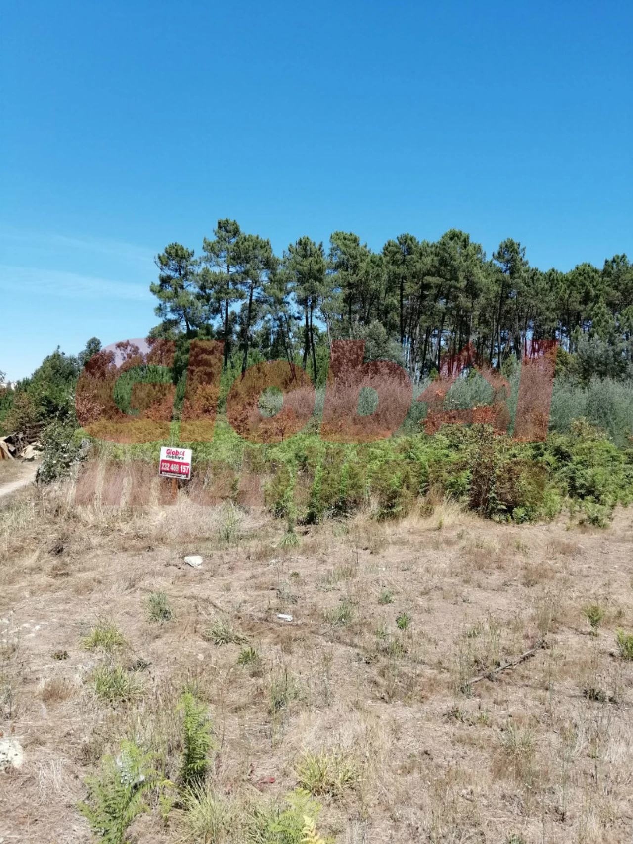 Terreno para Venda em Rio de Loba Foto 2