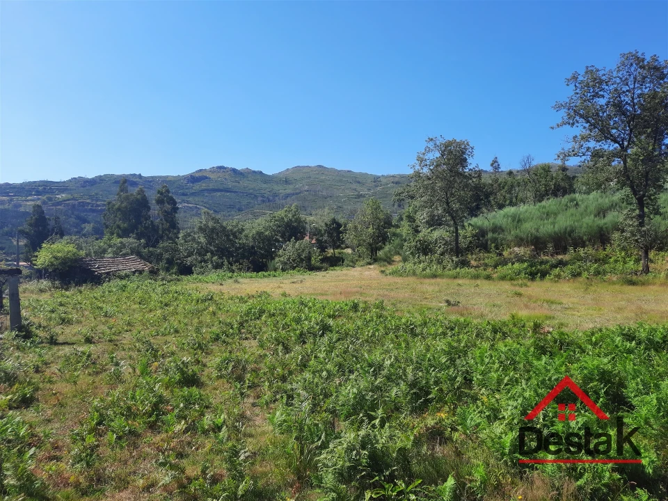 Quinta T0 para Venda em Ventosa Foto 3