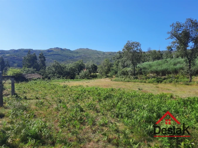 Quinta T0 para Venda em Ventosa Foto 8