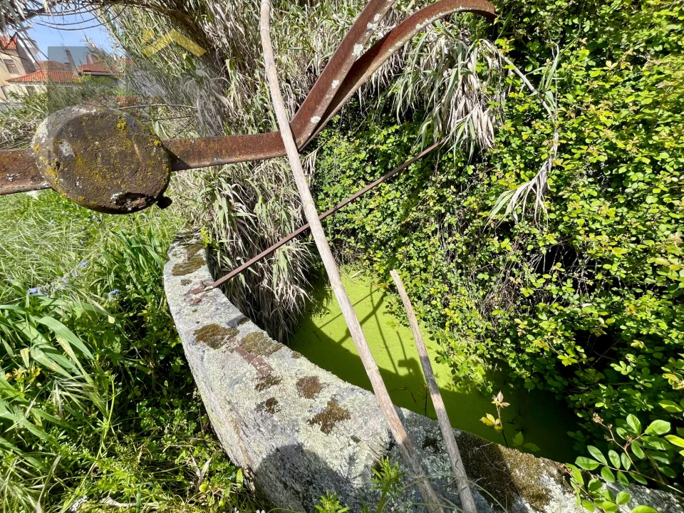 Moradia T5 para Venda em Pedrógão de São Pedro e Bemposta Foto 41