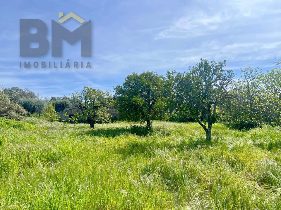 Moradia T5 para Venda em Pedrógão de São Pedro e Bemposta Foto 39