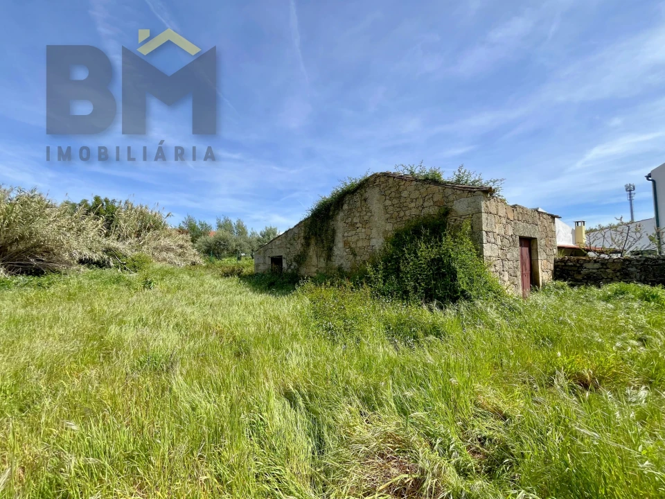 Moradia T5 para Venda em Pedrógão de São Pedro e Bemposta Foto 43