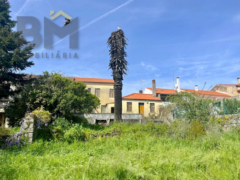 Moradia T5 para Venda em Pedrógão de São Pedro e Bemposta Foto 2