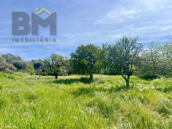 Moradia T5 para Venda em Pedrógão de São Pedro e Bemposta Foto 39