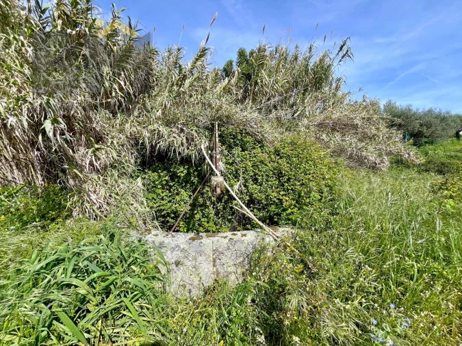 Moradia T5 para Venda em Pedrógão de São Pedro e Bemposta Foto 40
