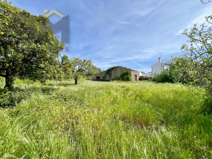 Moradia T5 para Venda em Pedrógão de São Pedro e Bemposta Foto 42