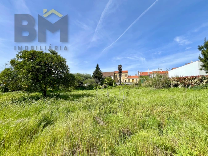 Moradia T5 para Venda em Pedrógão de São Pedro e Bemposta Foto 38