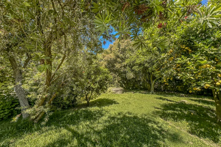 Moradia T4 para Venda em Infias Foto 11