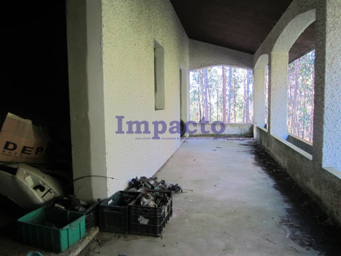 Armazém para Venda em Nogueira do Cravo e Pindelo Foto 13