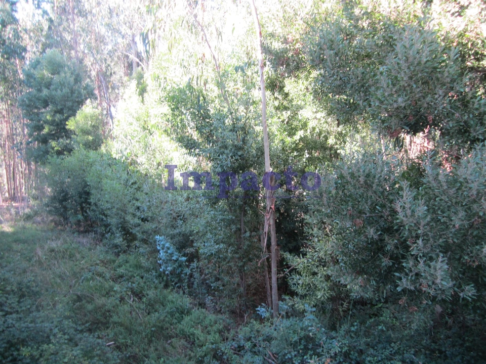 Armazém para Venda em Nogueira do Cravo e Pindelo Foto 8