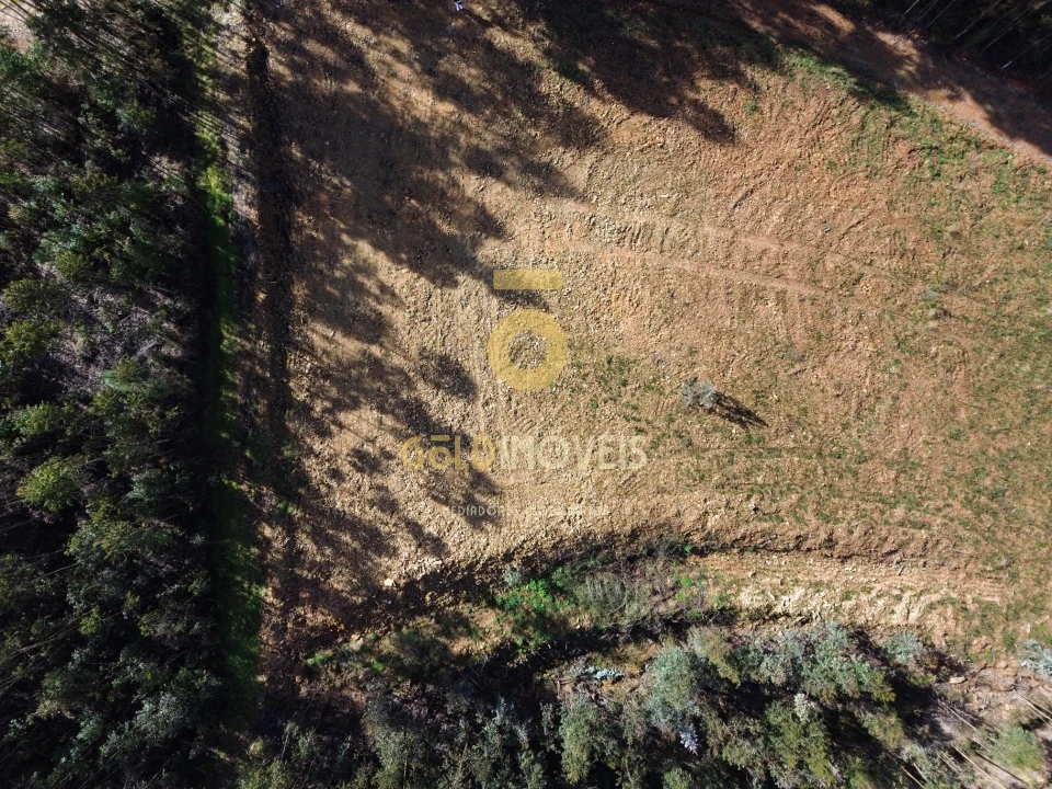 Terreno Agricola ou Rústico para Venda em Santa Maria de Sardoura Foto 9