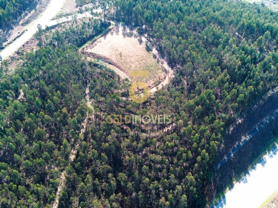 Terreno Agricola ou Rústico para Venda em Santa Maria de Sardoura Foto 7