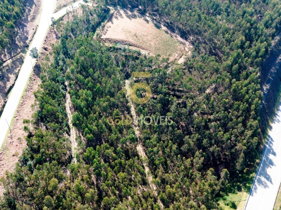 Terreno Agricola ou Rústico para Venda em Santa Maria de Sardoura Foto 3