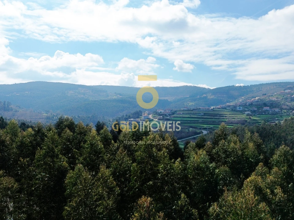 Terreno Agricola ou Rústico para Venda em Santa Maria de Sardoura Foto 12