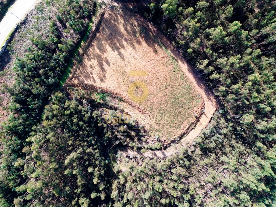 Terreno Agricola ou Rústico para Venda em Santa Maria de Sardoura Foto 8
