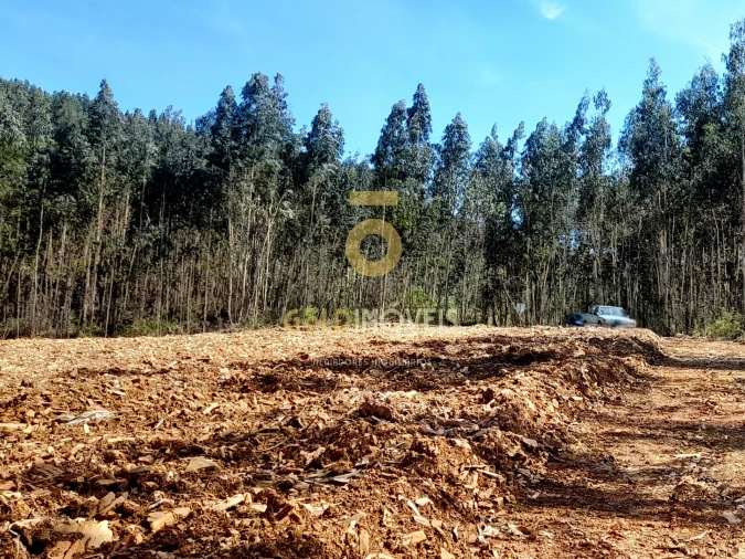 Terreno Agricola ou Rústico para Venda em Santa Maria de Sardoura Foto 1