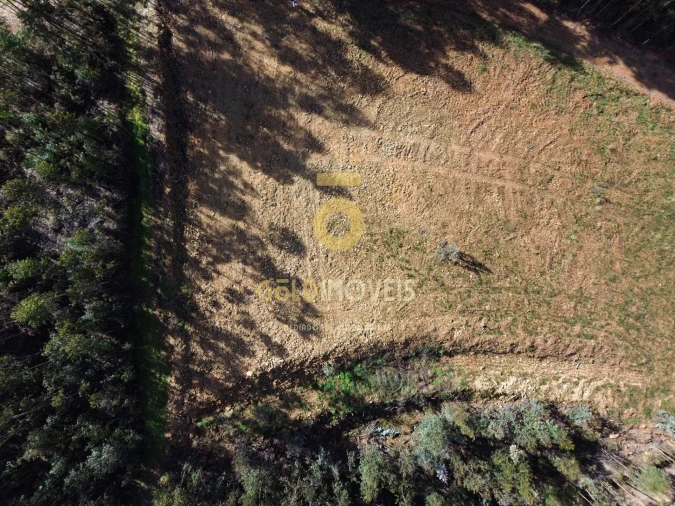 Terreno Agricola ou Rústico para Venda em Santa Maria de Sardoura Foto 9
