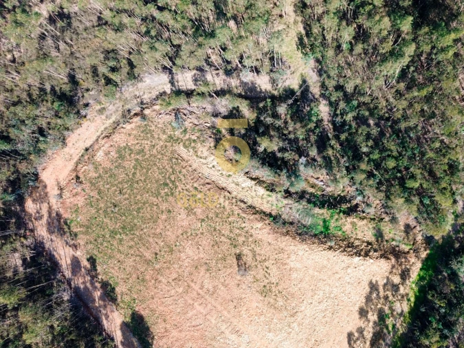 Terreno Agricola ou Rústico para Venda em Santa Maria de Sardoura Foto 14