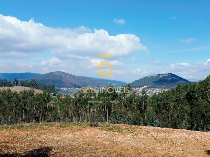 Terreno Agricola ou Rústico para Venda em Santa Maria de Sardoura Foto 10