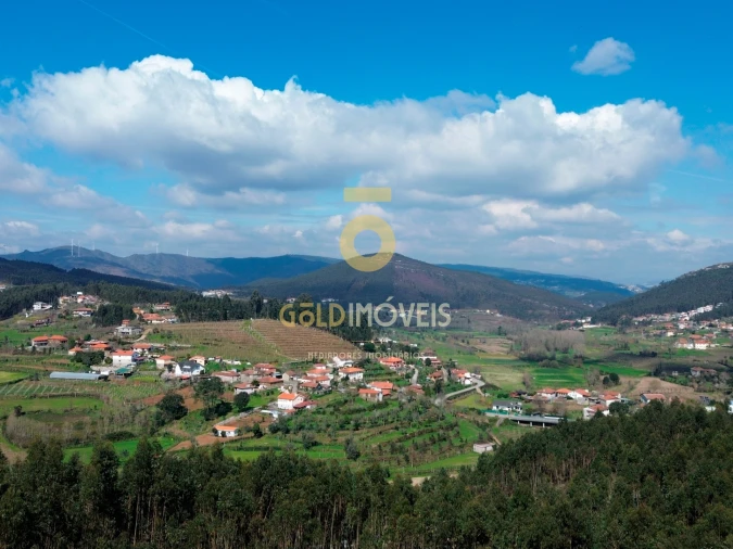 Terreno Agricola ou Rústico para Venda em Santa Maria de Sardoura Foto 11