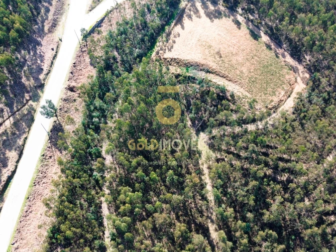 Terreno Agricola ou Rústico para Venda em Santa Maria de Sardoura Foto 2