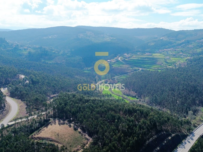 Terreno Agricola ou Rústico para Venda em Santa Maria de Sardoura Foto 6