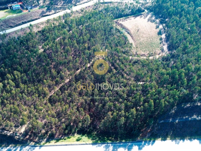 Terreno Agricola ou Rústico para Venda em Santa Maria de Sardoura