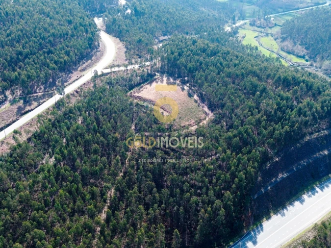 Terreno Agricola ou Rústico para Venda em Santa Maria de Sardoura Foto 5