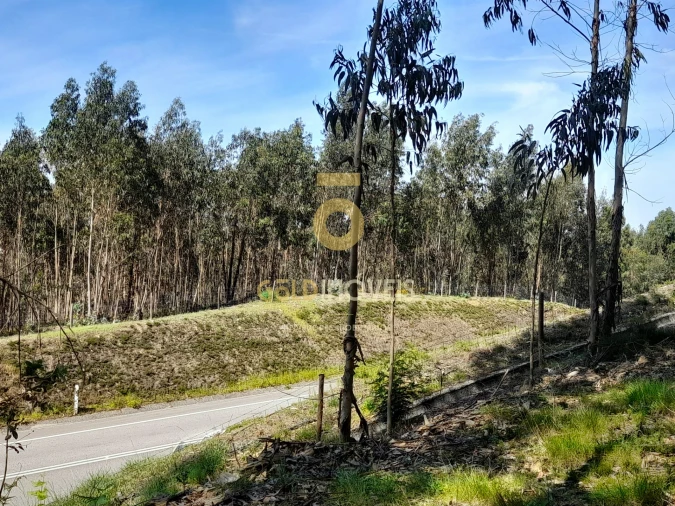 Terreno Agricola ou Rústico para Venda em Santa Maria de Sardoura Foto 2