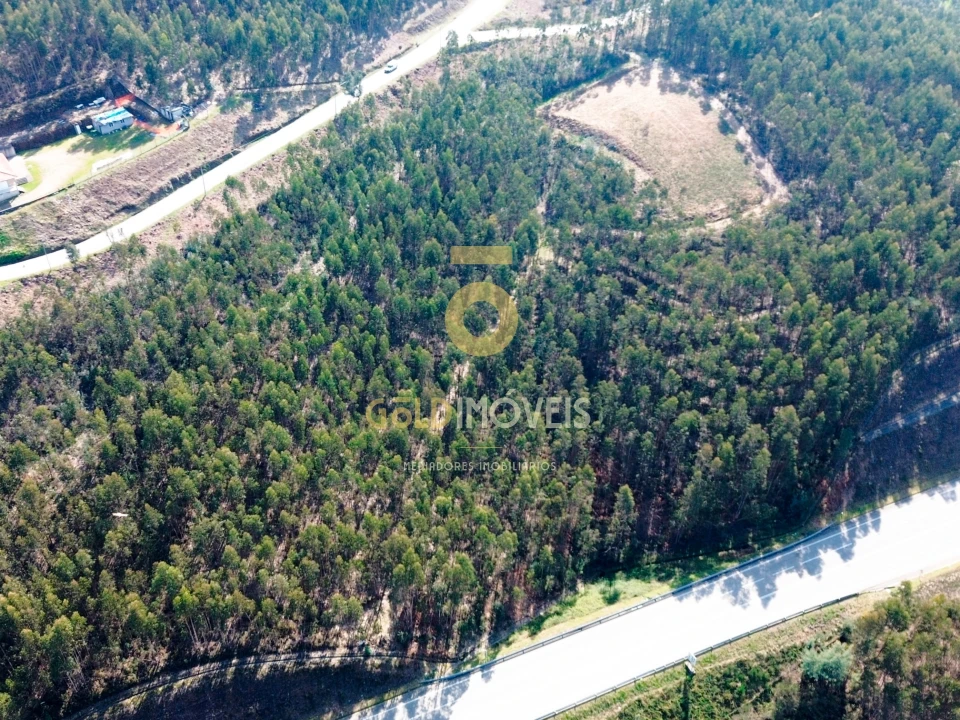 Terreno Agricola ou Rústico para Venda em Santa Maria de Sardoura Foto 4