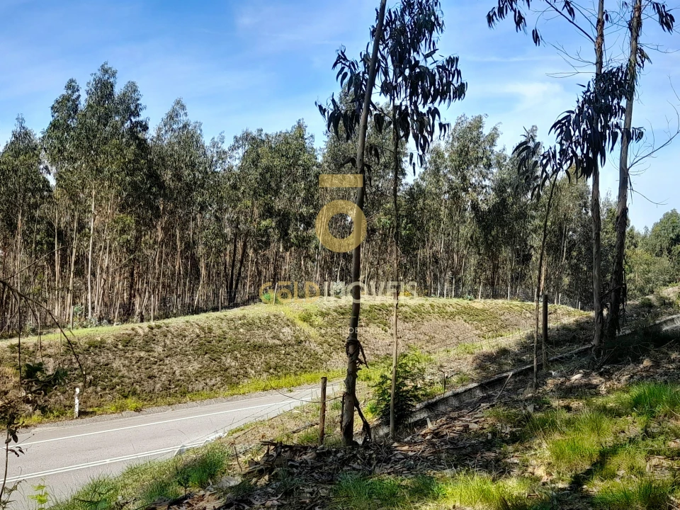 Terreno Agricola ou Rústico para Venda em Santa Maria de Sardoura Foto 2