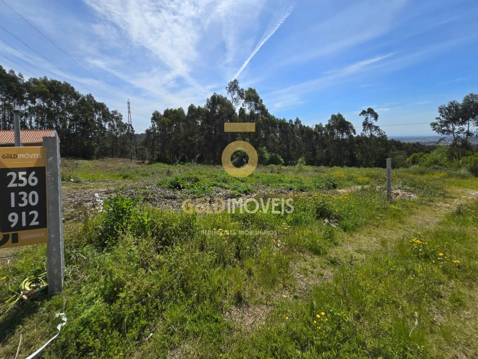 Terreno para Venda em Santa Maria da Feira, Travanca, Sanfins e Espargo Foto 8