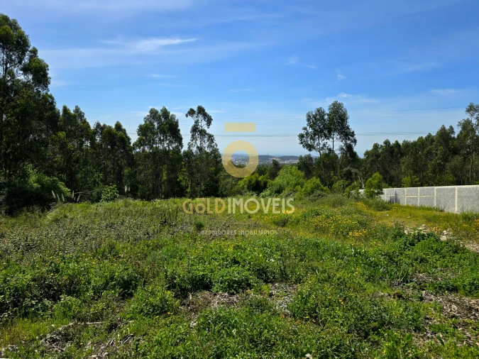 Terreno para Venda em Santa Maria da Feira, Travanca, Sanfins e Espargo Foto 5