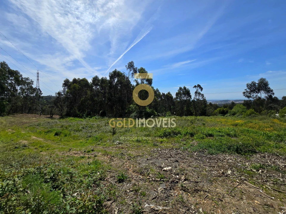 Terreno para Venda em Santa Maria da Feira, Travanca, Sanfins e Espargo Foto 4
