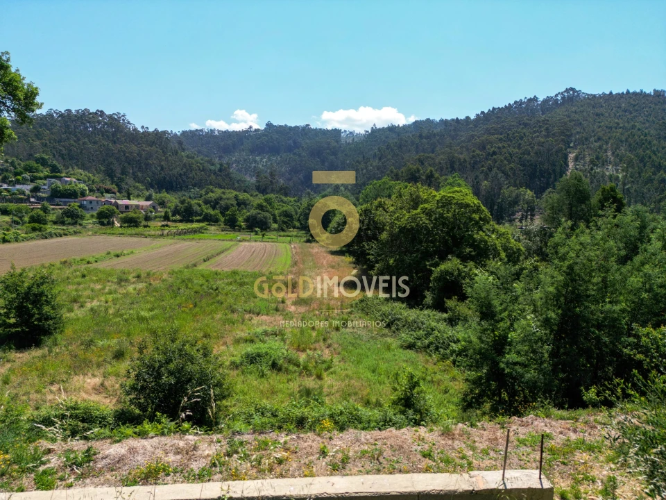 Terreno para Venda em Ossela Foto 1