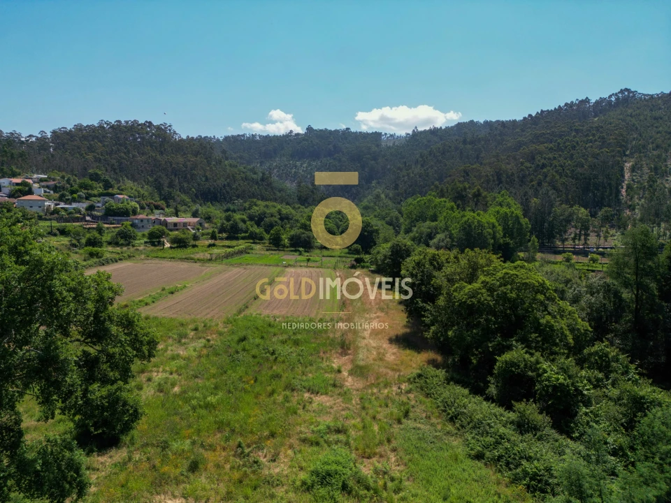 Terreno para Venda em Ossela Foto 3