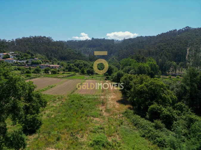 Terreno para Venda em Ossela Foto 3