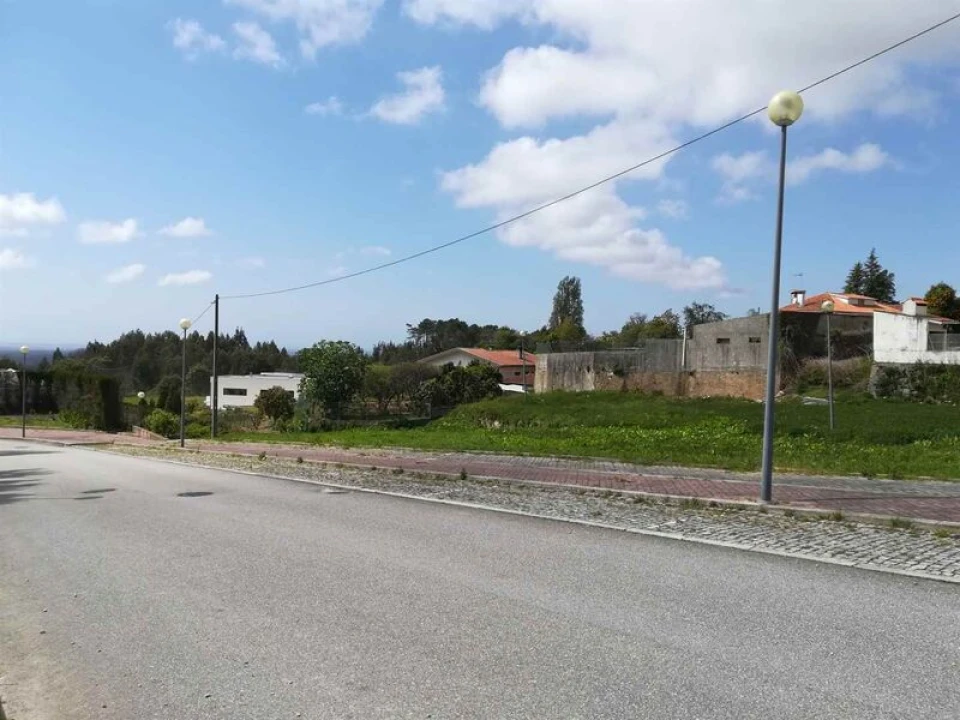 Terreno para Venda em Pinheiro da Bemposta, Travanca e Palmaz Foto 5