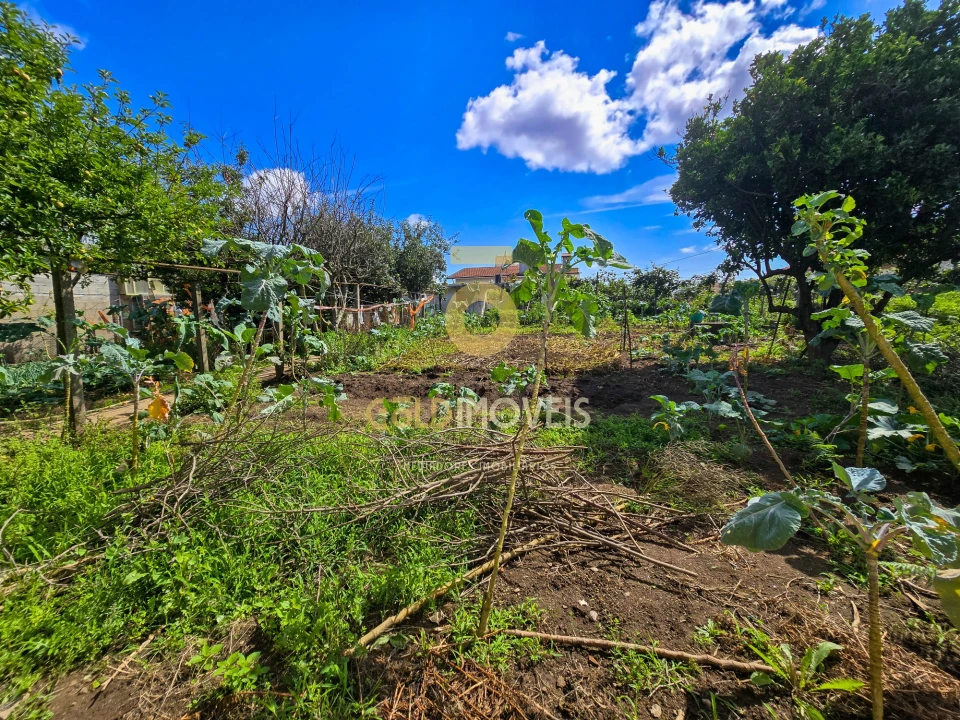 Moradia T3 para Venda em Lourosa Foto 32